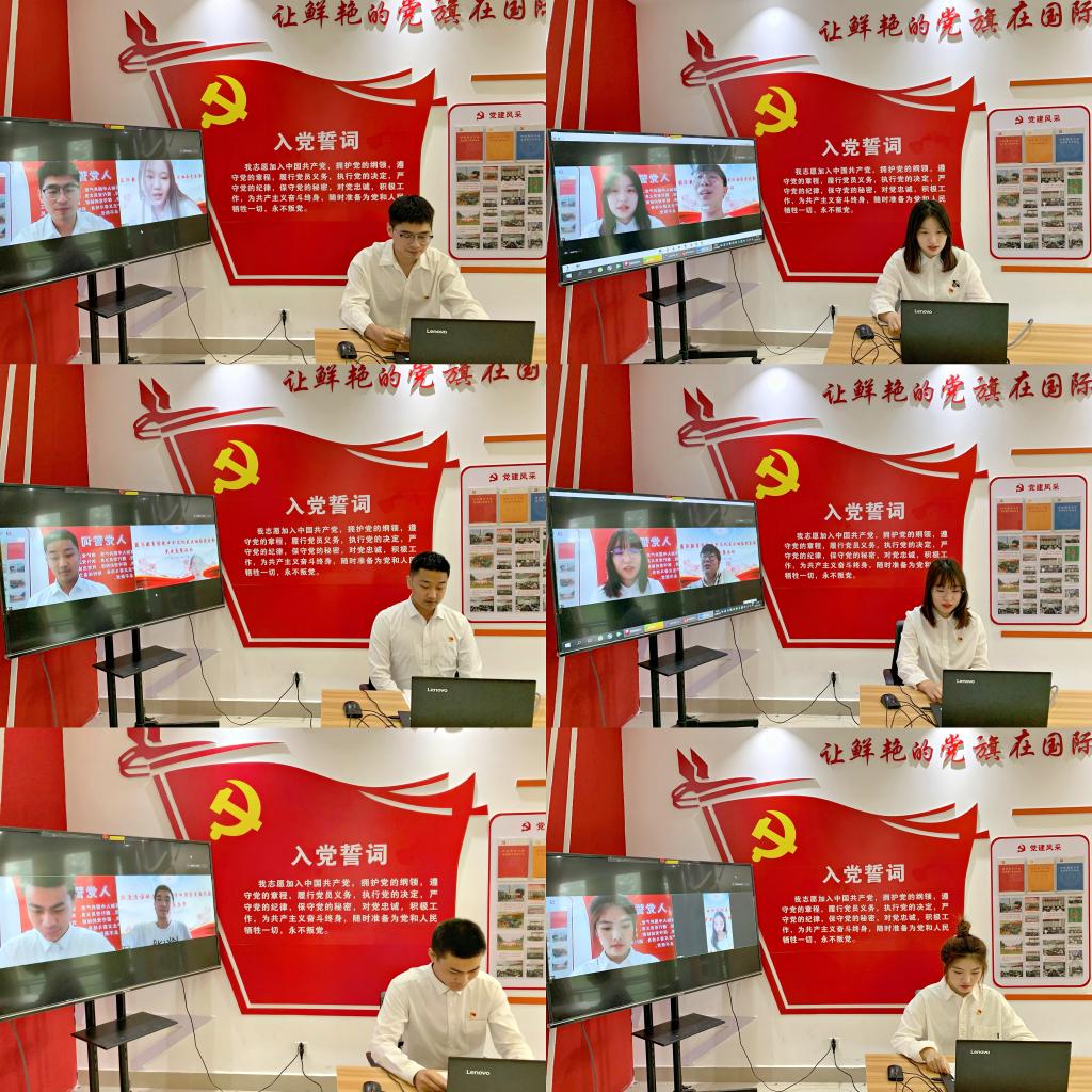 crown sport官方网站