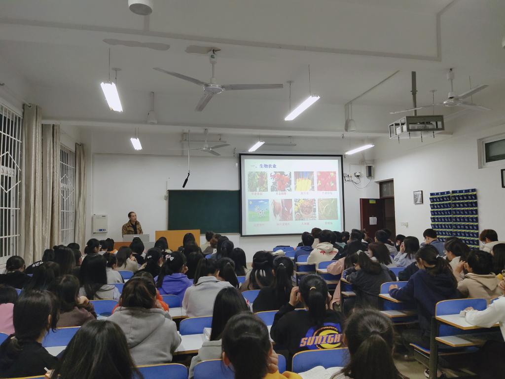 crown sport官方网站