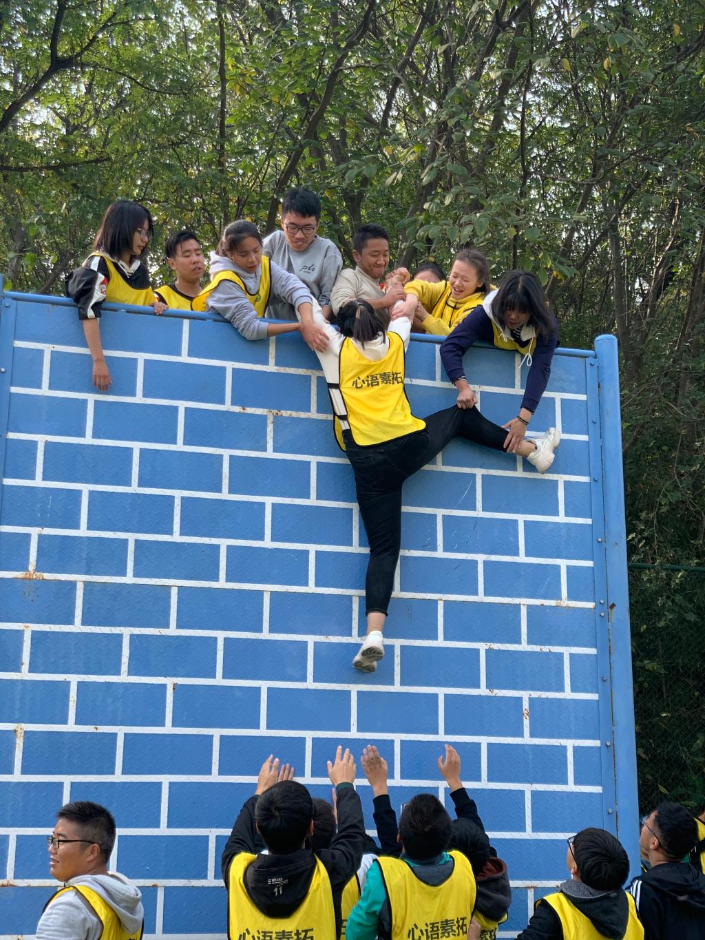 crown sport官方网站