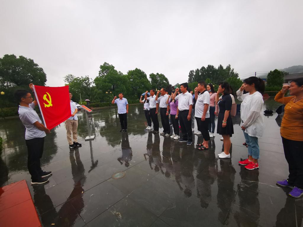 crown sport官方网站