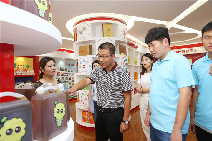 crown sport官方网站