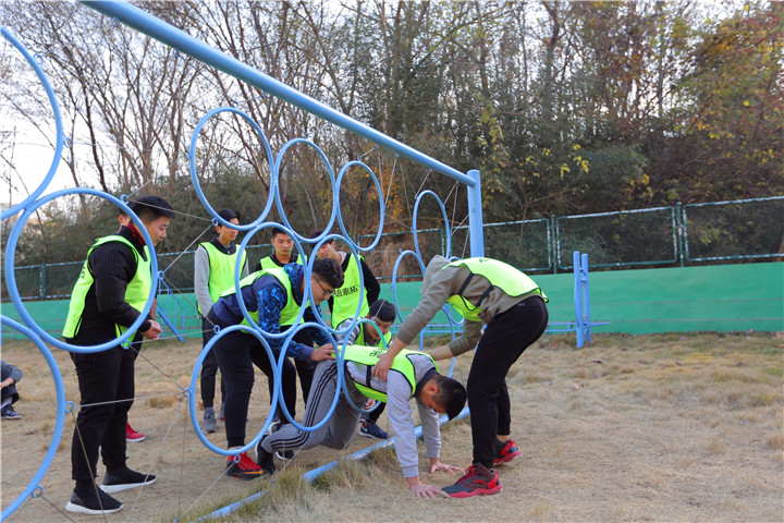 crown sport官方网站