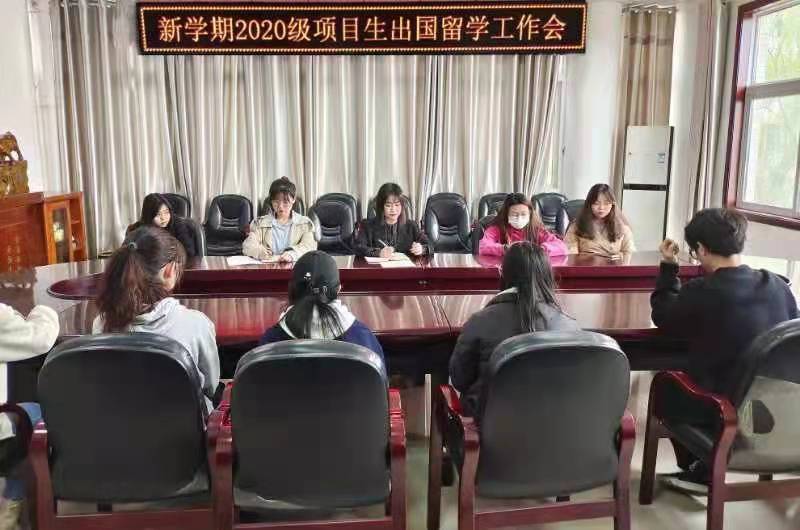 crown sport官方网站