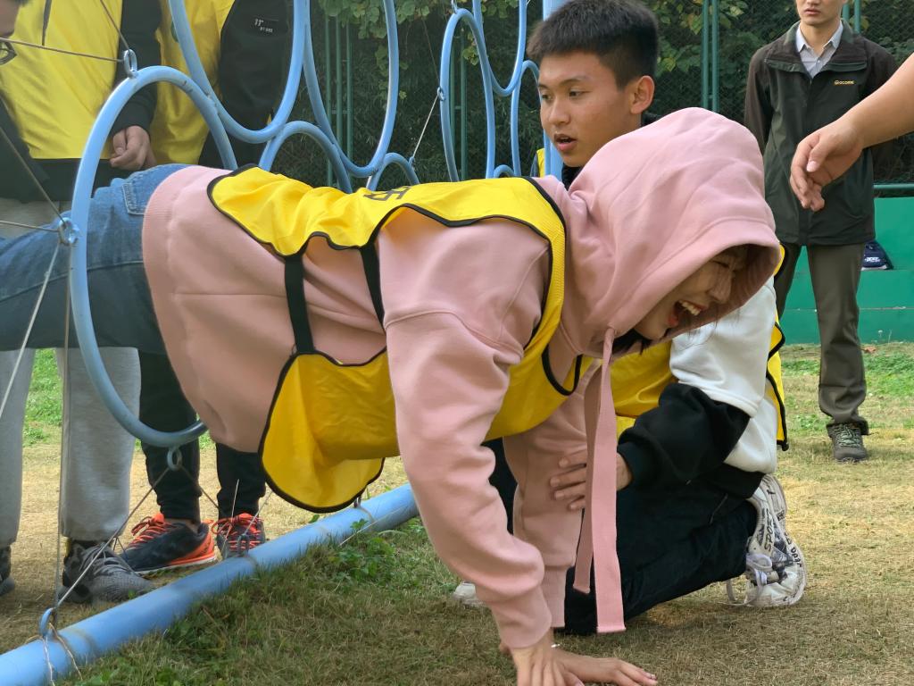 crown sport官方网站