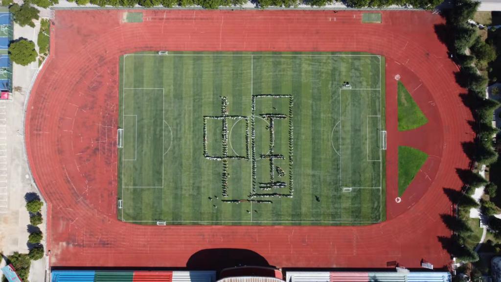 crown sport官方网站