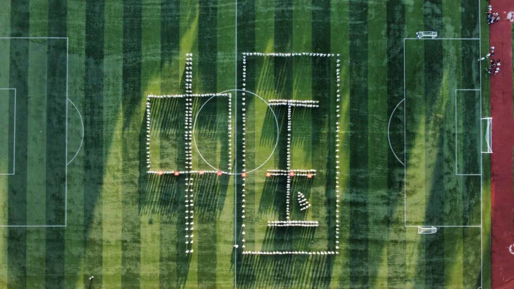 crown sport官方网站