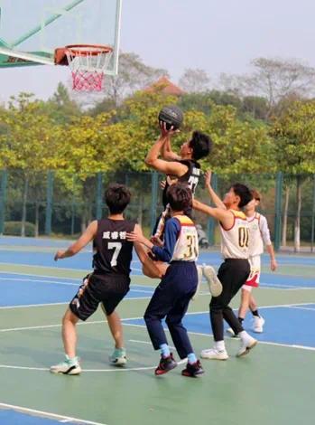 crown sport官方网站