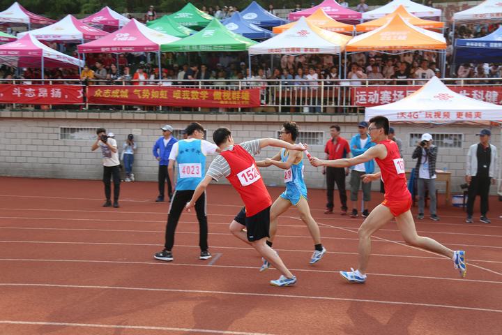 crown sport官方网站