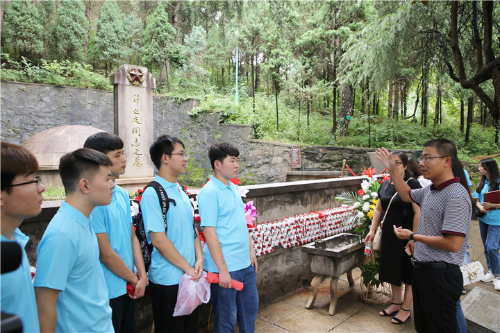 crown sport官方网站