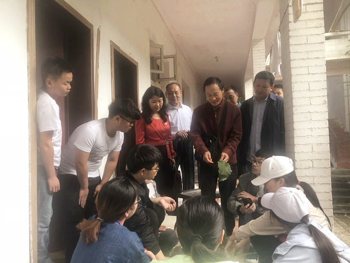 crown sport官方网站