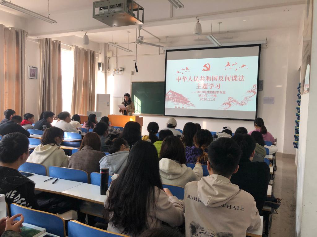 crown sport官方网站