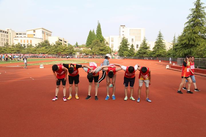crown sport官方网站